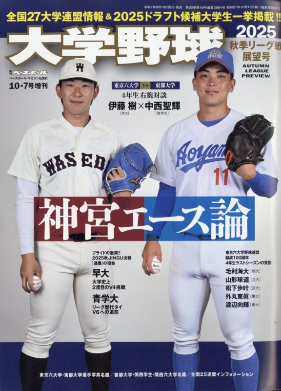 立教大学 1989 六大学野球 秋季リーグ優勝記念 ベースボールキャップ 当時物 立教大学 1989 六大学野球 秋季リーグ優勝記念 ベースボール