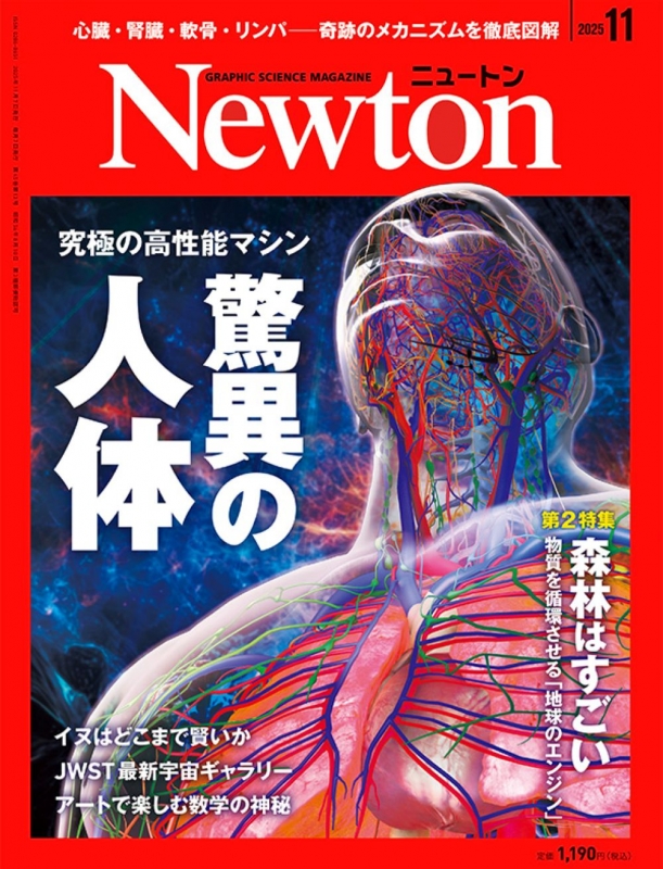Newton (ニュートン)2025年 11月号 : Newton編集部 | HMV&BOOKS online
