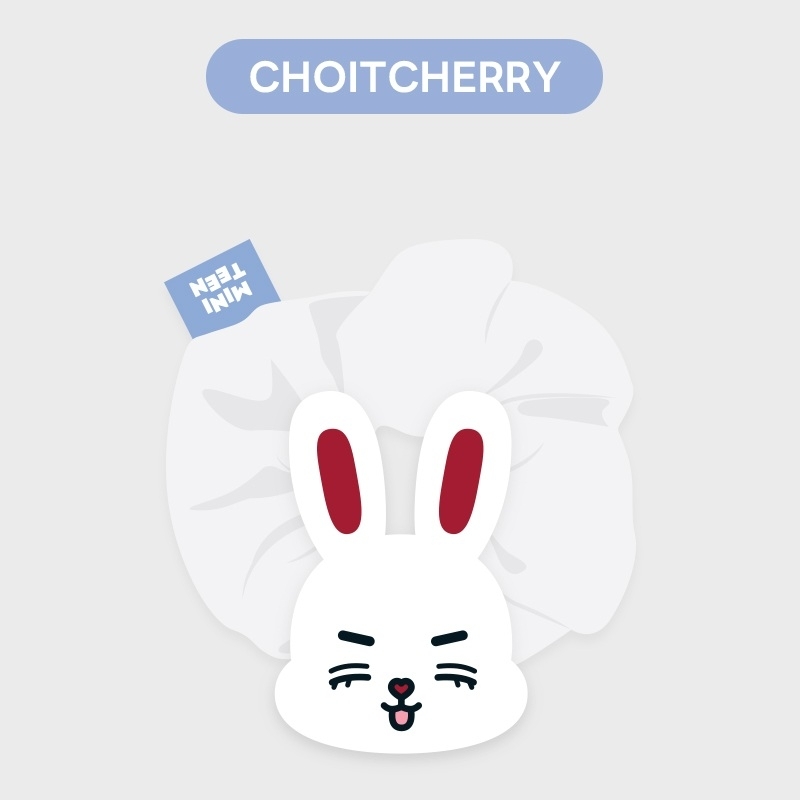 MINITEEN HAIR SCRUNCHIE (CHOITCHERRY / S.COUPS) : MINITEEN