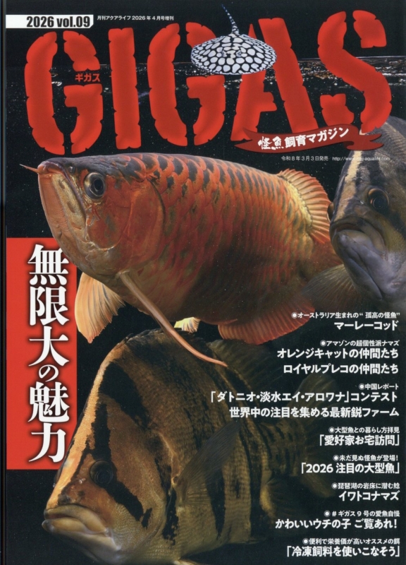 怪魚飼育マガジンgigas(ギガス)Vol.9 月刊 AQUA LIFE (アクアライフ