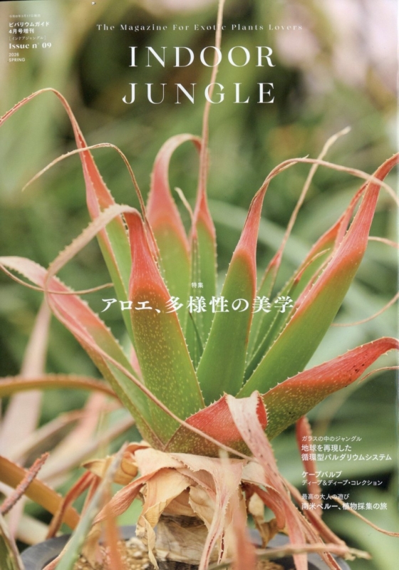 Indoor Jungle (インドアジャングル)No.09 ビバリウムガイド 2026年 4