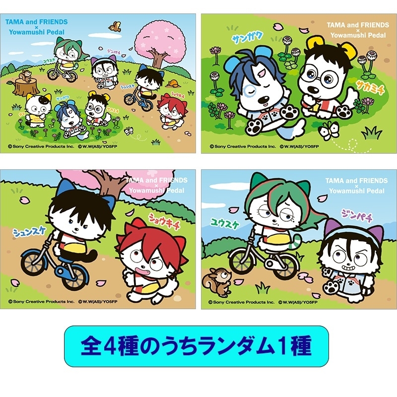 トレーディングミニキャンバスボード【タマ＆フレンズ×弱虫ペダル