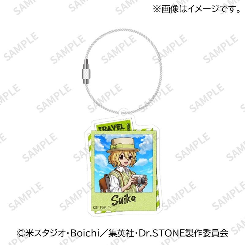 スイカ Dr.STONE アクスタ アクキー アクリルキーホルダー スイカ : Dr.STONE | HMV&BOOKS online - DRST009