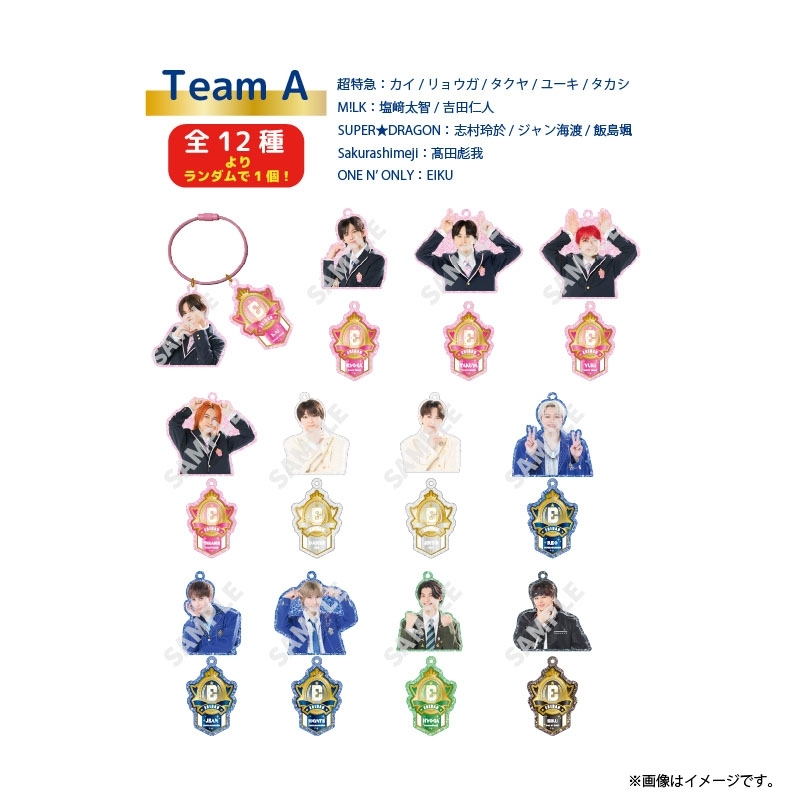 Random Acrylic Keyholder Team A（全12種よりランダムで1個入り
