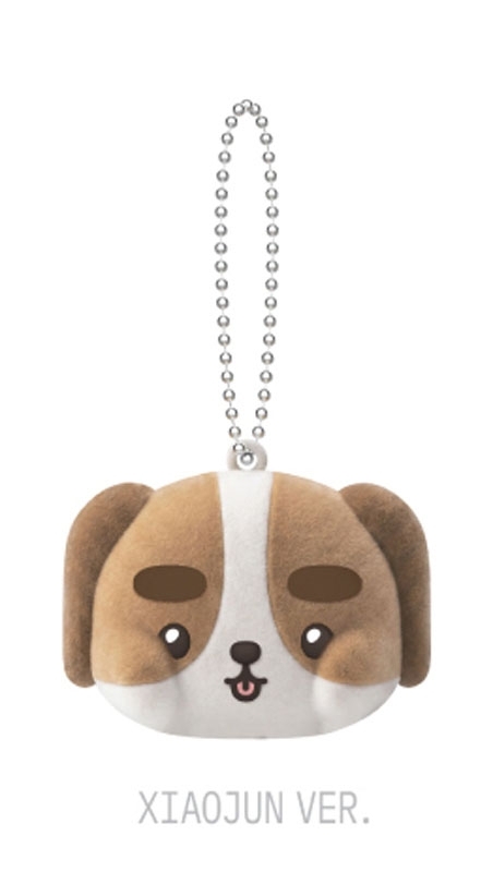 MAGNETIC KEY RING（XIAOJUN） / NCT 10TH ANNIVERSARY [NCT 2026] POP