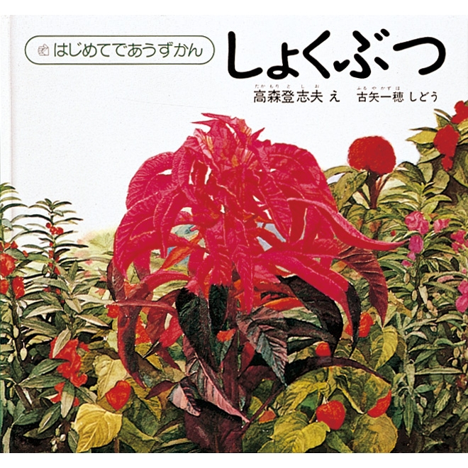 はじめてであうずかん 全５冊｜福音館書店 はじめてのずかん しょくぶつ