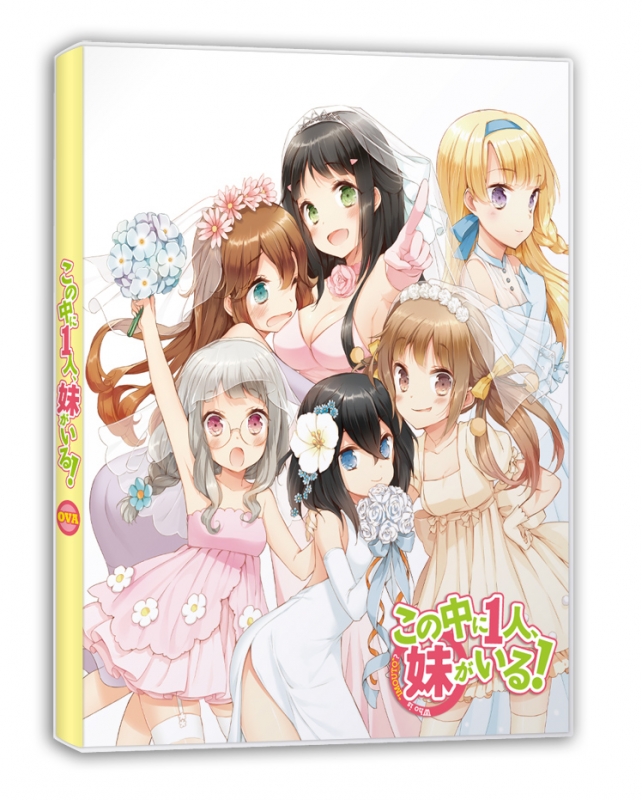 人気の新作 Blu-rayこの中に1人、妹がいる! 全巻セット＋ova 全巻収納BOX付 アニメ