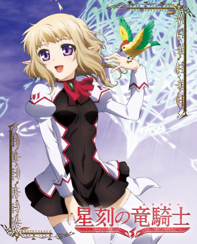 星刻の竜騎士 第4巻 Hmv Books Online Zmbz 9324