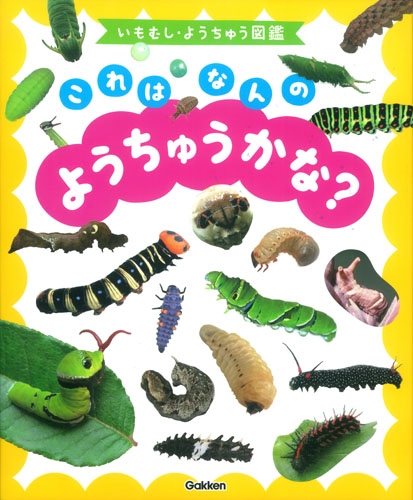 これはなんのようちゅうかな? いもむし・ようちゅう図鑑 : 岡島秀治