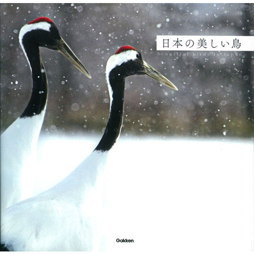 日本の美しい鳥 学研教育出版 Hmv Books Online