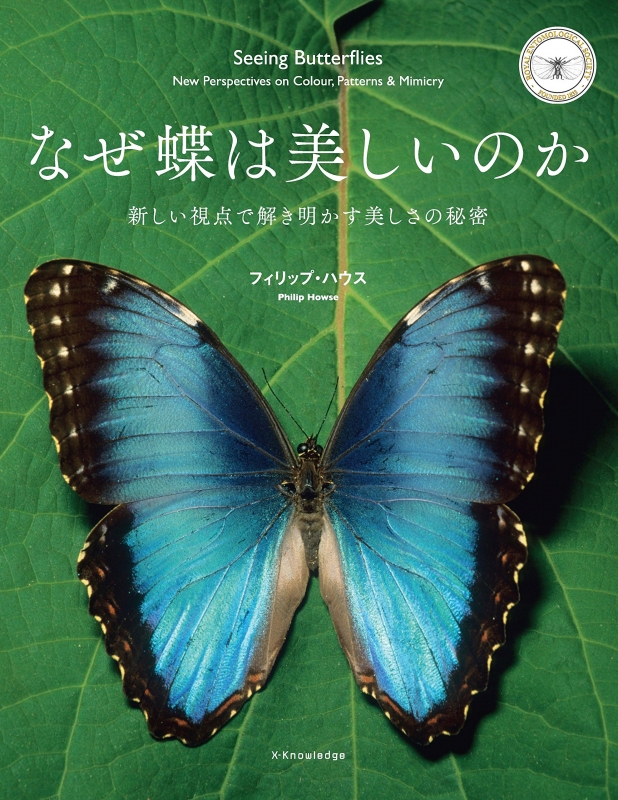 なぜ蝶は美しいのか 新しい視点で解き明かす美しさの秘密