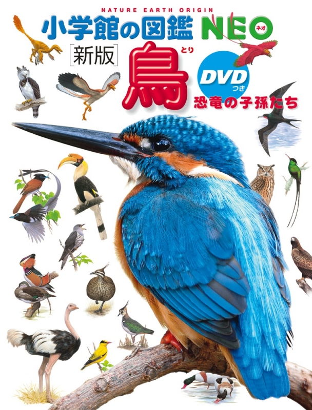 新版鳥DVDつき 恐竜の子孫たち 小学館の図鑑NEO : 上田恵介