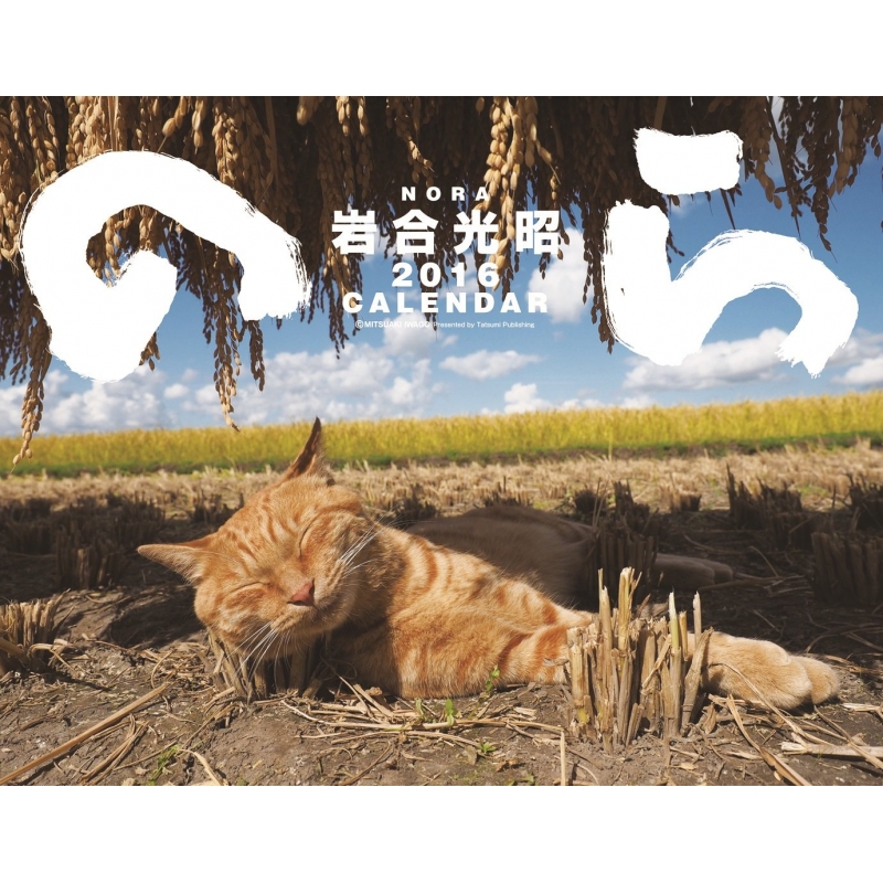猫カレンダー のら 2016 岩合光昭 Hmv Books Online 9784777815203