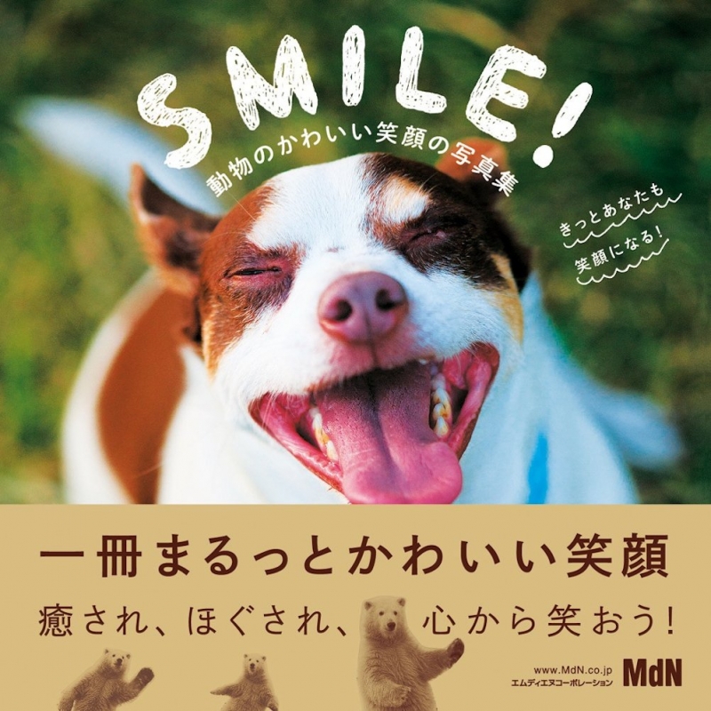 Smile 動物のかわいい笑顔の写真集 きっとあなたも笑顔になる Mdn編集部 Hmv Books Online