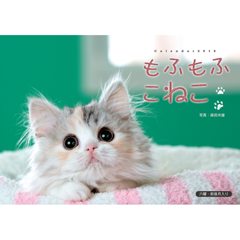 もふもふこねこ 16 カレンダー Hmv Books Online