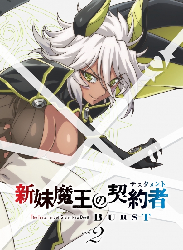 や89【60】1円～未開封 新妹魔王の契約者(テスタメント) Blu-ray