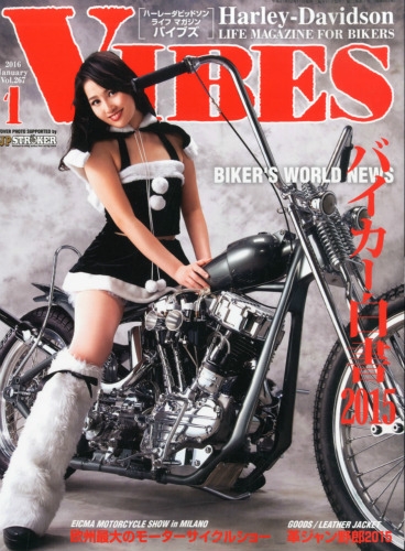 Vibes (バイブス)2016年 1月号 : VIBES編集部 | HMV&BOOKS online