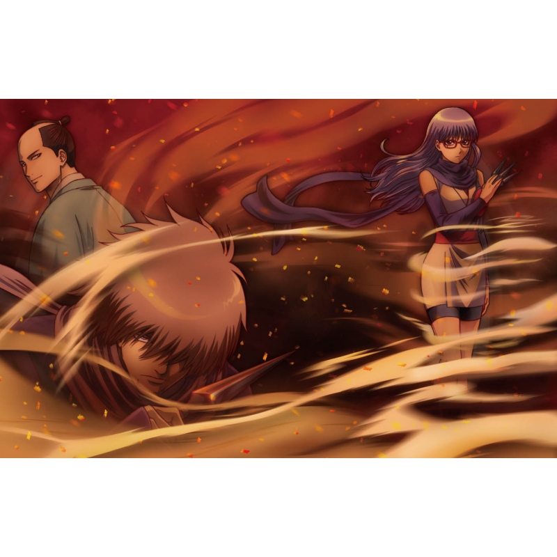 銀魂' 10 : 銀魂 | HMV&BOOKS online - ANSB-6230