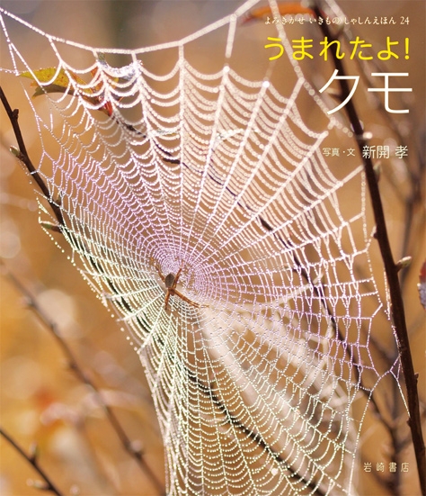うまれたよ クモ よみきかせ いきものしゃしんえほん 新開孝 Hmv Books Online