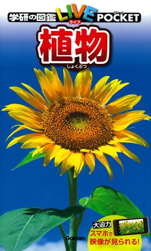 植物 学研の図鑑ライブポケット 樋口正信 Hmv Books Online