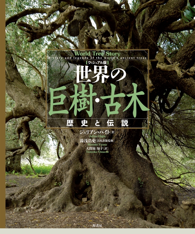 大図説世界の木材―木と人間の文化誌 (1979年) |本 | 通販 | Amazon