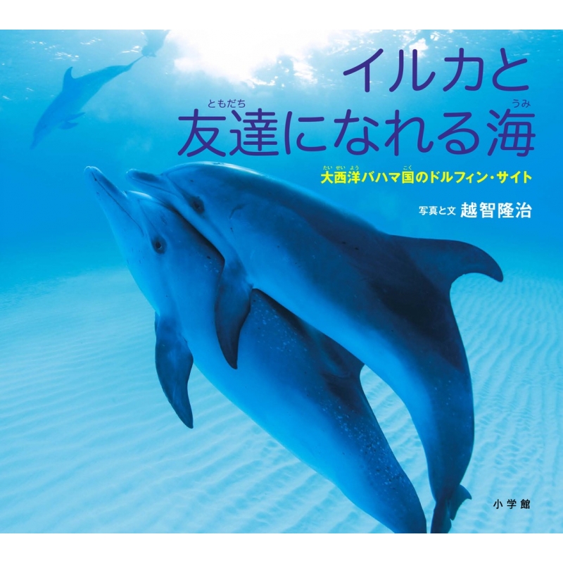 イルカと友達になれる海 大西洋バハマ国のドルフィン サイト 小学館の図鑑neoの科学絵本 越智隆治 Hmv Books Online