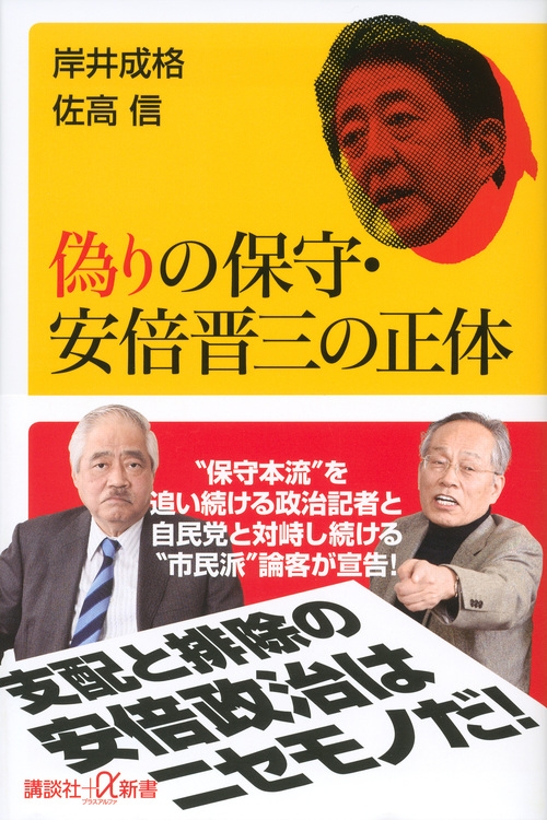 後援会限定販売 「日本の政治 安倍晋三とその系譜」平成22年発行 - 本