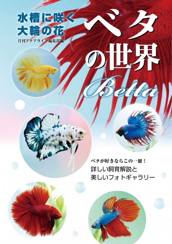 水槽に咲く大輪の花 ベタの世界 アクアライフの本 : 月刊AQUA LIFE編集