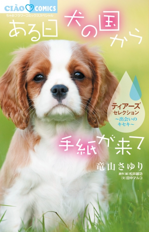 ある日 犬の国から手紙が来て 出会いのキセキ ティアーズセレクション ちゃおコミックス 竜山さゆり Hmv Books Online