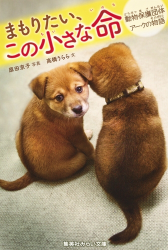 まもりたい この小さな命 動物保護団体アークの物語 集英社みらい文庫 原田京子 Hmv Books Online
