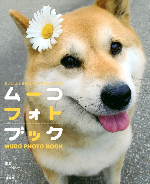 ムーコフォトブック 飼い主にしか撮れない大人気看板犬の写真集 小松聡一 Hmv Books Online