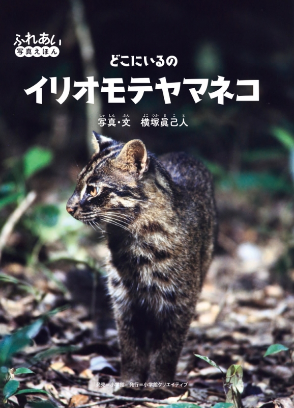 どこにいるの イリオモテヤマネコ ふれあい写真えほん 小学館クリエイティブ Hmv Books Online