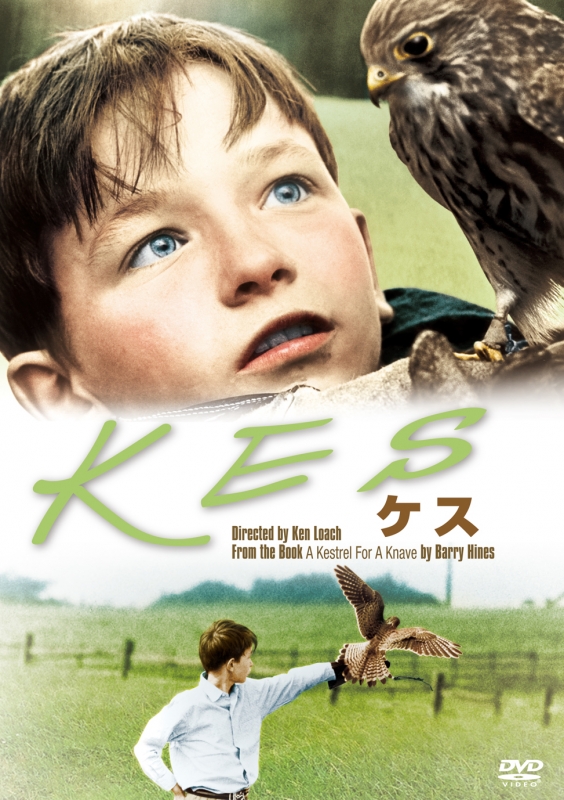 ケス | HMV&BOOKS online - MGBQY-16823