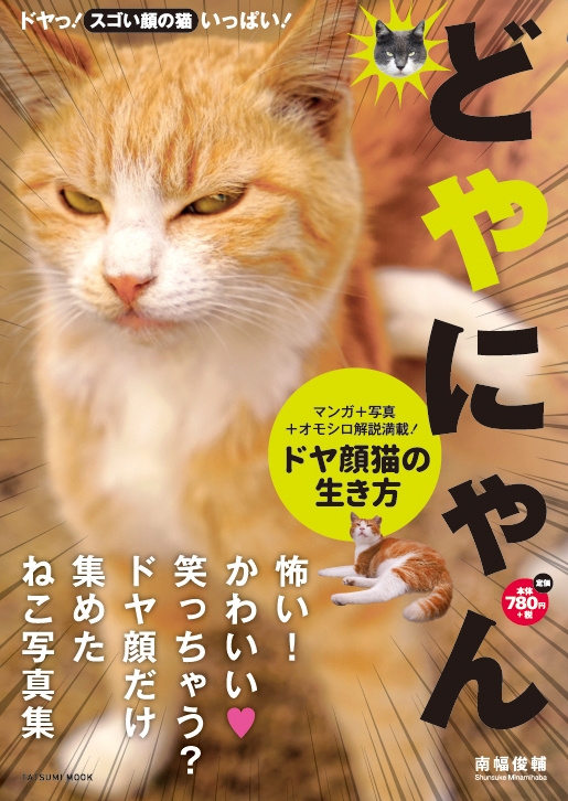 どやにゃん。ドヤ顔猫の生き方 タツミムック : 南幅俊輔 | HMV&BOOKS