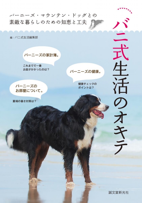 値下げ リース 犬 バーニーズマウンテンドッグ moradascascavel.com