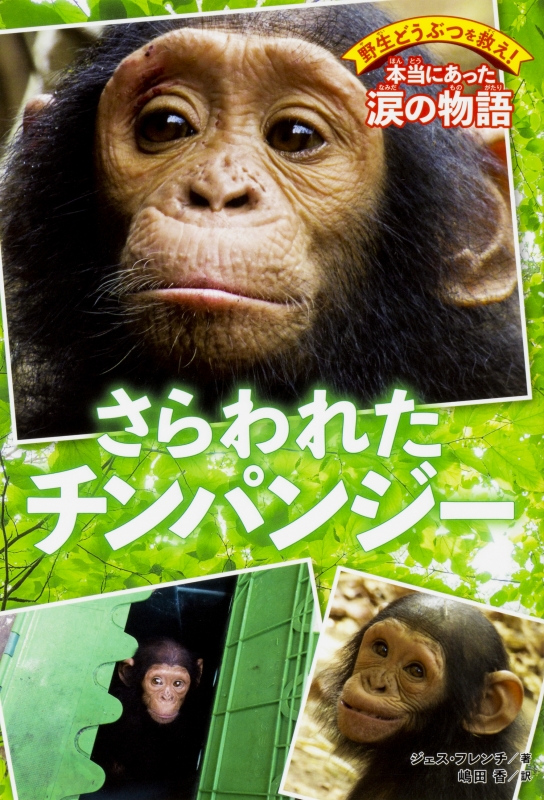 さらわれたチンパンジー 野生どうぶつを救え!本当にあった涙の
