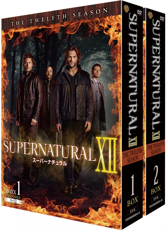 話題の行列 SUPERNATURAL ⅩⅡ スーパーナチュラル DVD 11 12シーズン