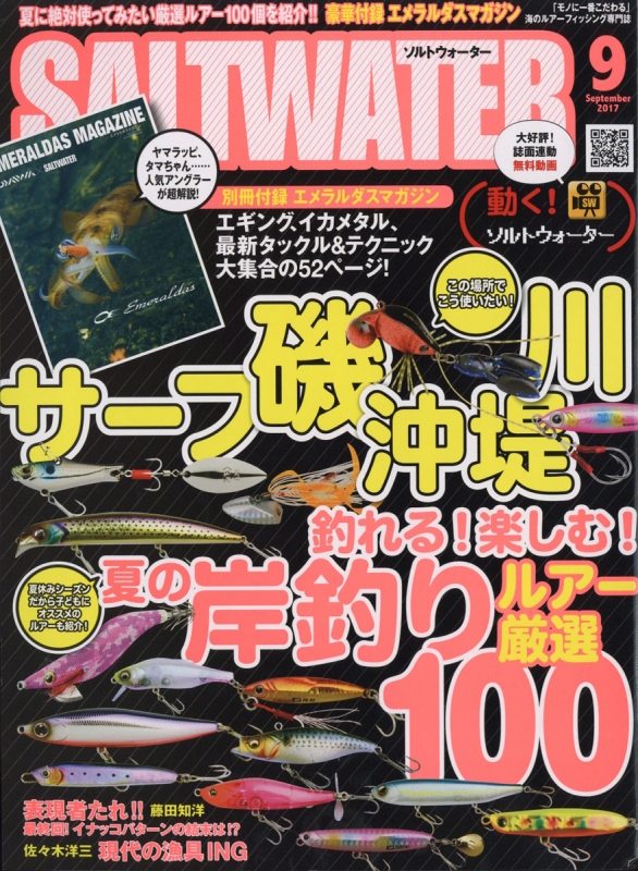 激安挑戦！！ (ソルトウォーター)2017年 Water Salt 9月号 ソルトウォーター : その他