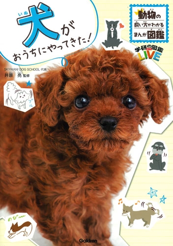 犬がおうちにやってきた 動物の飼い方がわかるまんが図鑑 学研の図鑑live 井原亮 Hmv Books Online