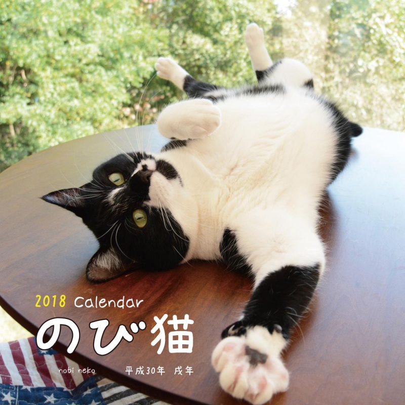 18大判カレンダー のび猫 栗林愛 Hmv Books Online