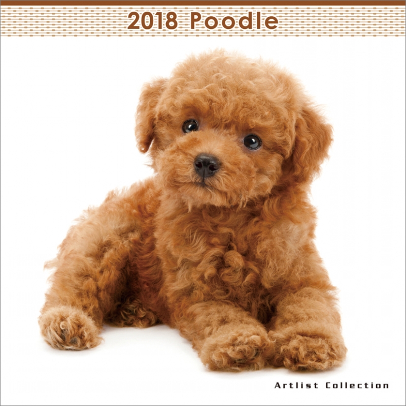 (ミニ)プードル / 2018年カレンダー 2018年カレンダー HMV&BOOKS online