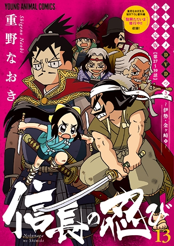 信長の忍び 13 TVアニメDVD付き初回限定版 ヤングアニマル