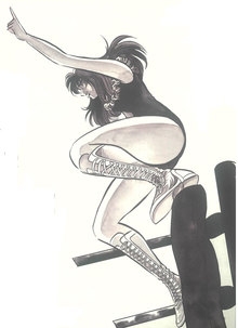 大合本燃える！！女子プロレス   /復刊ドットコム/島本和彦（コミック） Amazon.co.jp: 大合本 燃える!! 女子プロレス : 島本 和彦: 本