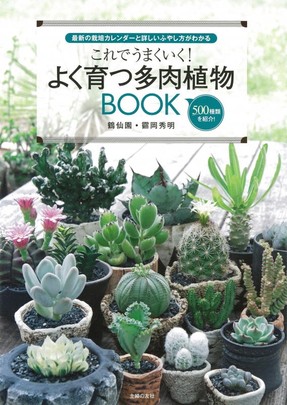 これでうまくいく よく育つ多肉植物book 靍岡秀明 Hmv Books Online