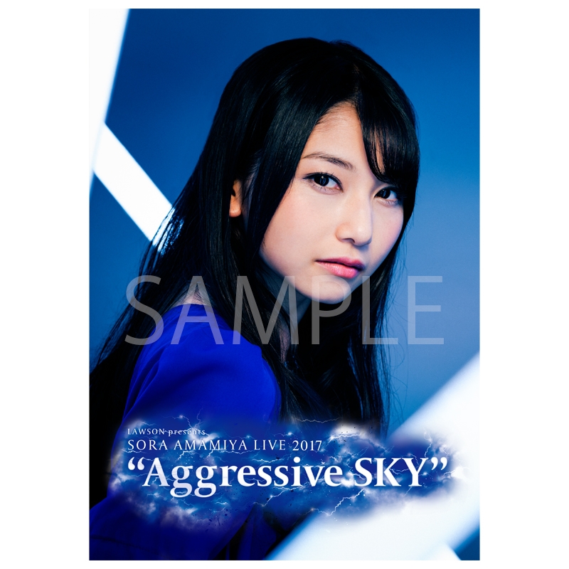 パンフレット / Aggressive SKY : 雨宮天 | HMV&BOOKS online - LP182955