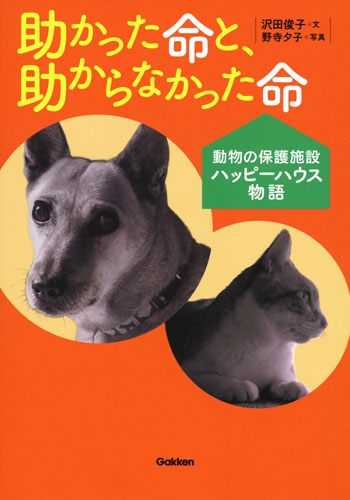 助かった命と 助からなかった命 動物の保護施設ハッピーハウス物語 動物感動ノンフィクション 沢田俊子 Hmv Books Online