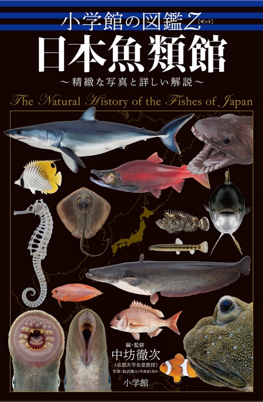 ご検討よろしくお願いします観賞魚マニュアル第二版 学窓社  獣医 専門 書籍