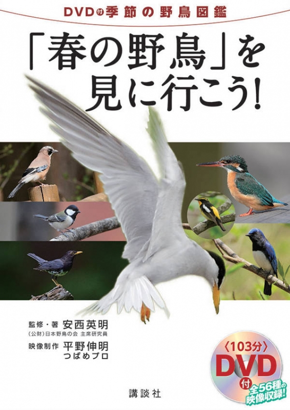 Hmv店舗在庫一覧 季節の野鳥図鑑 １ 春の野鳥 を見に行こう 安西英明 Hmv Books Online
