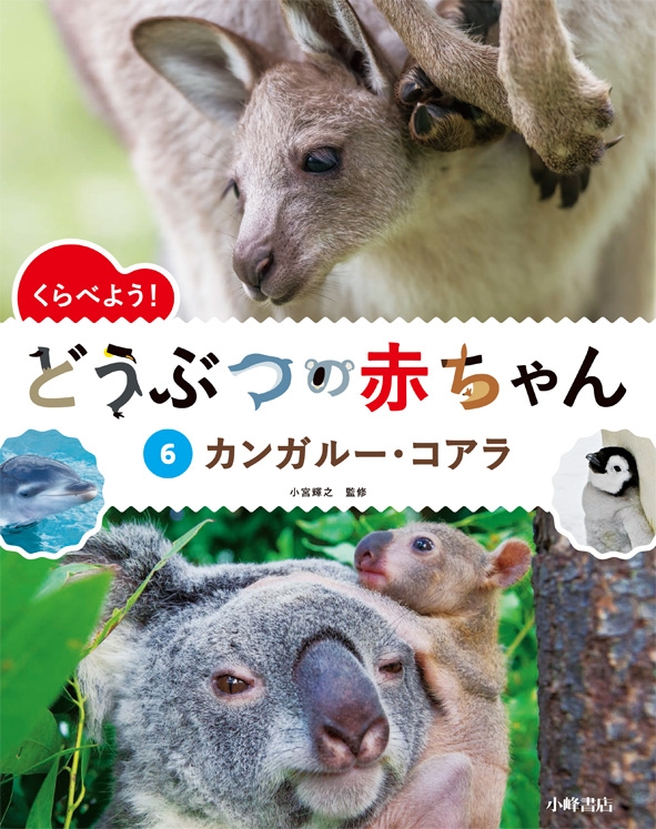 くらべよう どうぶつの赤ちゃん 6 カンガルー コアラ 小宮輝之 Hmv Books Online