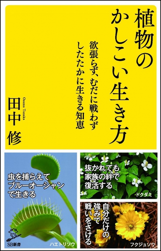 植物のかしこい生き方 Sb新書 田中修 Hmv Books Online